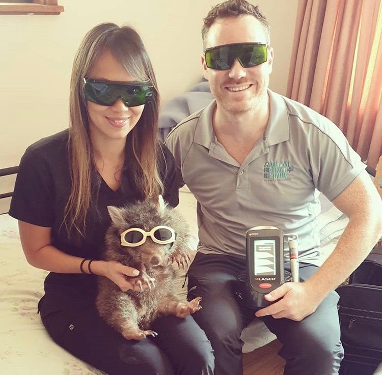Zwei Personen mit Schutzbrillen sitzen neben einem kleinen Beuteltier mit Schutzbrille und präsentieren ein tragbares Lasermessgerät in einem Innenraum.