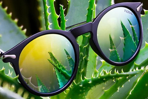 Eine verspiegelte Sonnenbrille in einem Kaktus