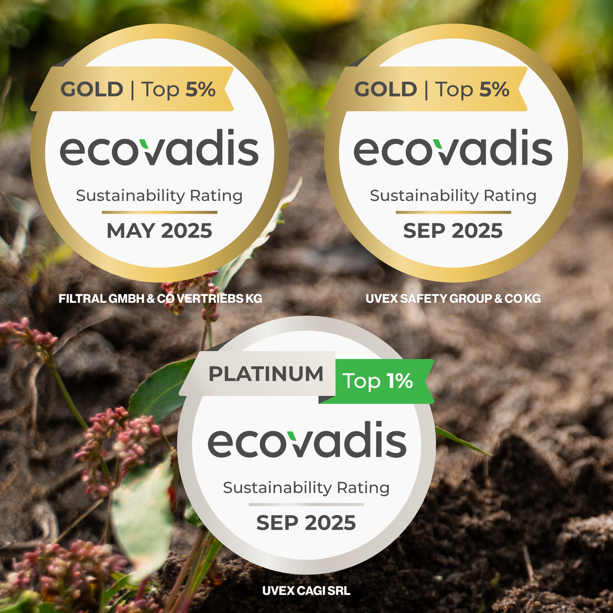 EcoVadis logo